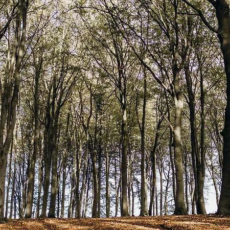 別荘 Buenkemuehler Kuhliebe *