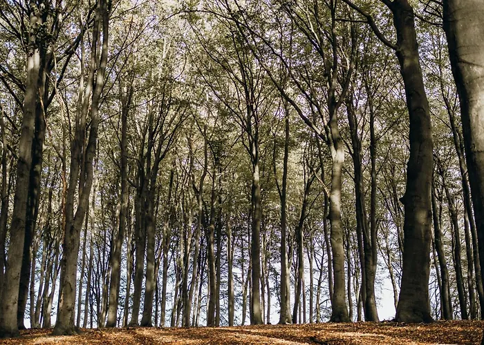 別荘 Buenkemuehler Kuhliebe *